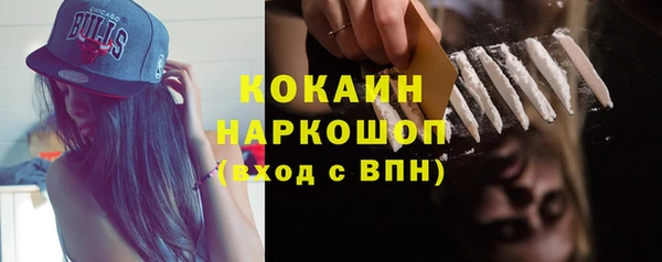 apvp Алексин