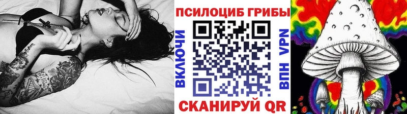 наркотики  Покров  omg   Галлюциногенные грибы мицелий 